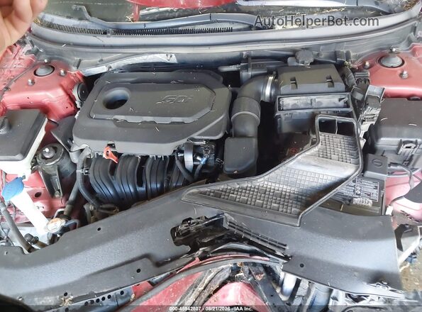 5NPE24AF7KH787786 2019 HYUNDAI SONATA Burgundy Rear view