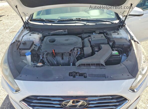 5NPE24AF7KH808085 2019 HYUNDAI SONATA White Սալոնի հետևի տեսք