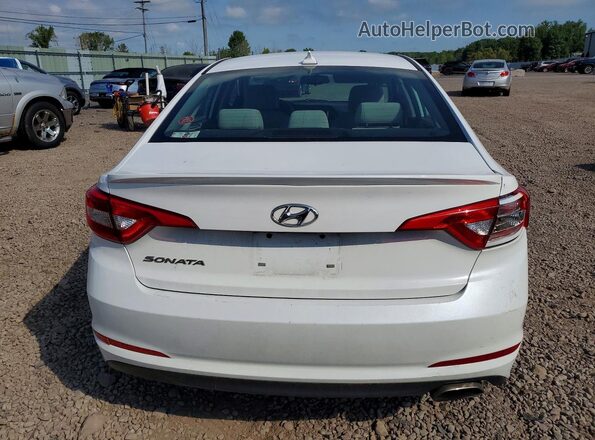 5NPE24AF8GH306984 2016 HYUNDAI SONATA White Vista trasera