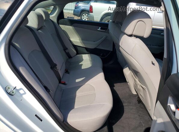 5NPE24AF8GH306984 2016 HYUNDAI SONATA White Vista de los asientos traseros