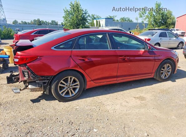 5NPE24AF8GH339600 2016 HYUNDAI SONATA Red Trasero derecho