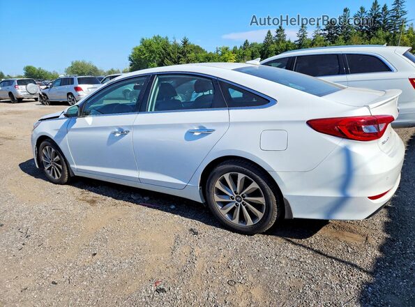 5NPE24AF8GH408916 2016 HYUNDAI SONATA White Հետևի ձախ