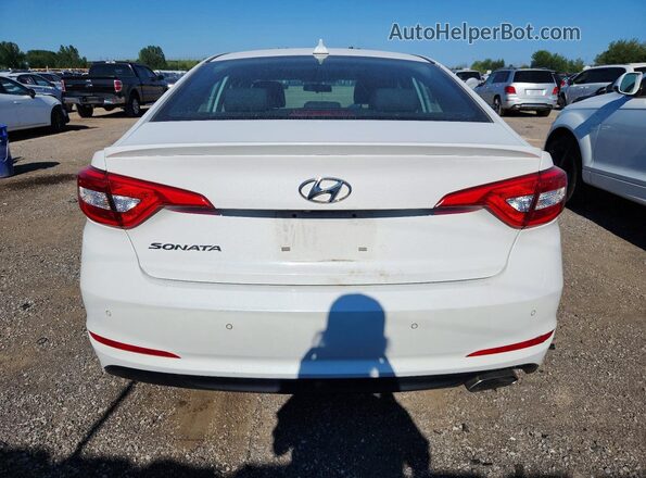5NPE24AF8GH408916 2016 HYUNDAI SONATA White Հետևի տեսք