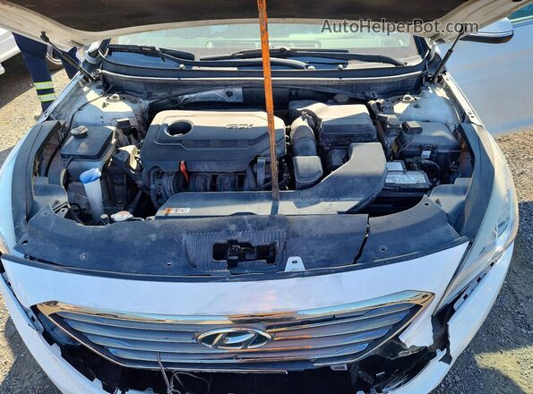 5NPE24AF8GH408916 2016 HYUNDAI SONATA White Սալոնի հետևի տեսք
