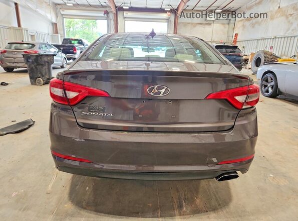 5NPE24AF8GH424274 2016 HYUNDAI SONATA Коричневый Вид сзади