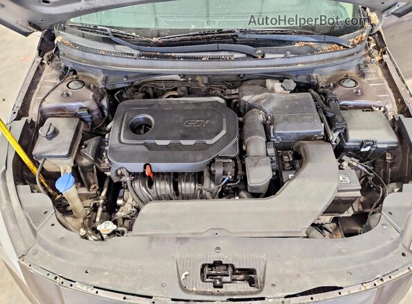 5NPE24AF8GH424274 2016 HYUNDAI SONATA Коричневый Вид задней части салона