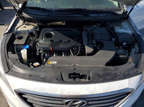 5NPE24AF8HH478823 2017 HYUNDAI SONATA White Սալոնի հետևի տեսք