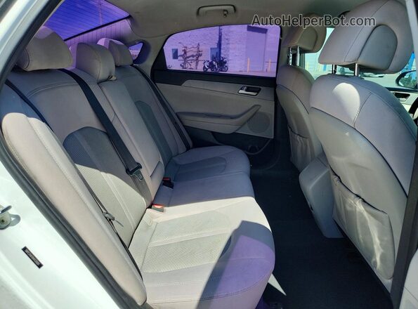 5NPE24AF8HH530001 2017 HYUNDAI SONATA White Widok tylnych siedzeń
