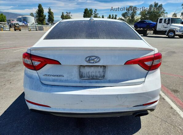 5NPE24AF8HH530001 2017 HYUNDAI SONATA White Widok z tyłu