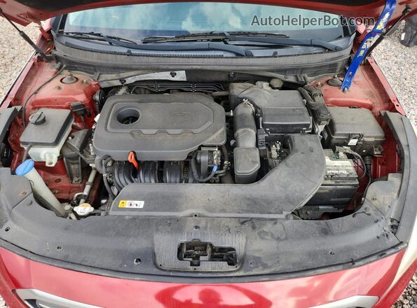 5NPE24AF8HH563239 2017 HYUNDAI SONATA Red Widok wnętrza z tyłu