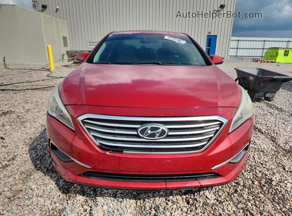 5NPE24AF8HH563239 2017 HYUNDAI SONATA Red Widok z przodu