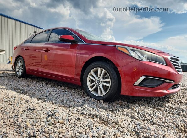 5NPE24AF8HH563239 2017 HYUNDAI SONATA Red Przód prawy