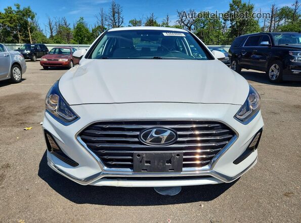 5NPE24AF8KH743683 2019 HYUNDAI SONATA White წინა ხედი