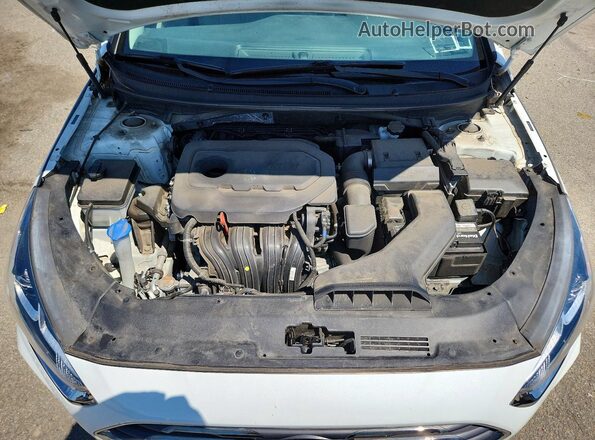 5NPE24AF8KH743683 2019 HYUNDAI SONATA White უკანა სალონის ხედი