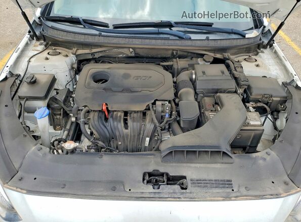 5NPE24AF8KH797470 2019 HYUNDAI SONATA White Widok wnętrza z tyłu