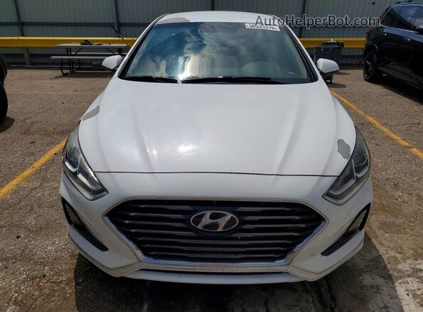 5NPE24AF8KH797470 2019 HYUNDAI SONATA White Widok z przodu