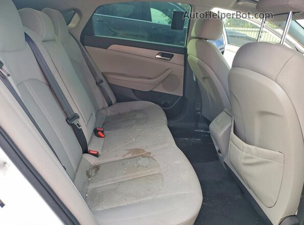 5NPE24AF8KH798621 2019 HYUNDAI SONATA Белый Вид задних сидений
