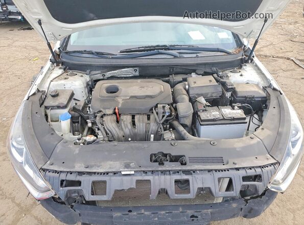 5NPE24AF8KH798621 2019 HYUNDAI SONATA Белый Вид задней части салона