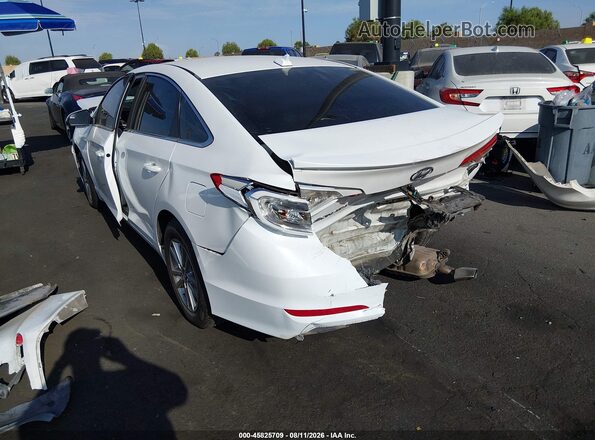 5NPE24AF9GH260209 2016 HYUNDAI SONATA White Rear left