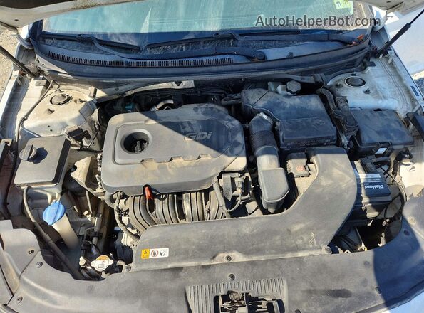 5NPE24AF9GH314754 2016 HYUNDAI SONATA White 