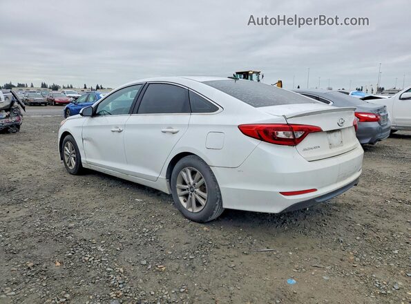 5NPE24AF9GH342425 2016 HYUNDAI SONATA White Tył lewy