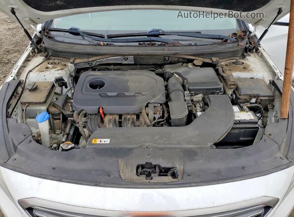 5NPE24AF9GH342425 2016 HYUNDAI SONATA White Widok wnętrza z tyłu