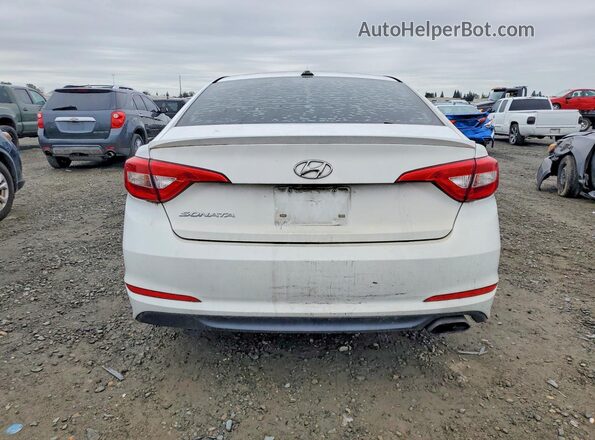 5NPE24AF9GH342425 2016 HYUNDAI SONATA White Widok z tyłu