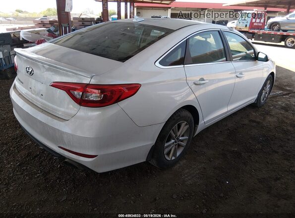 5NPE24AF9GH356339 2016 HYUNDAI SONATA White უკანა მარჯვენა