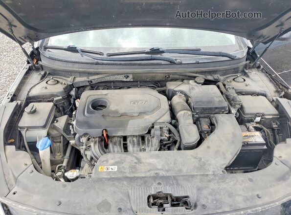 5NPE24AF9GH397375 2016 HYUNDAI SONATA Black Սալոնի հետևի տեսք