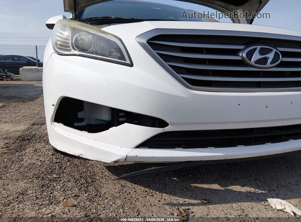 5NPE24AF9GH406124 2016 HYUNDAI SONATA White Դիմացի տեսք