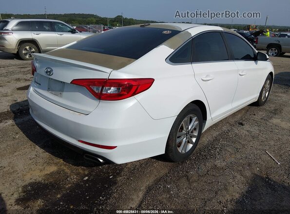 5NPE24AF9GH406124 2016 HYUNDAI SONATA White Հետևի աջ