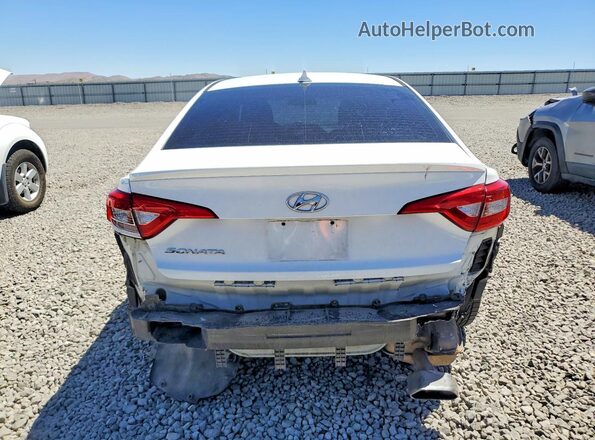 5NPE24AF9HH564951 2017 HYUNDAI SONATA White Вид ззаду