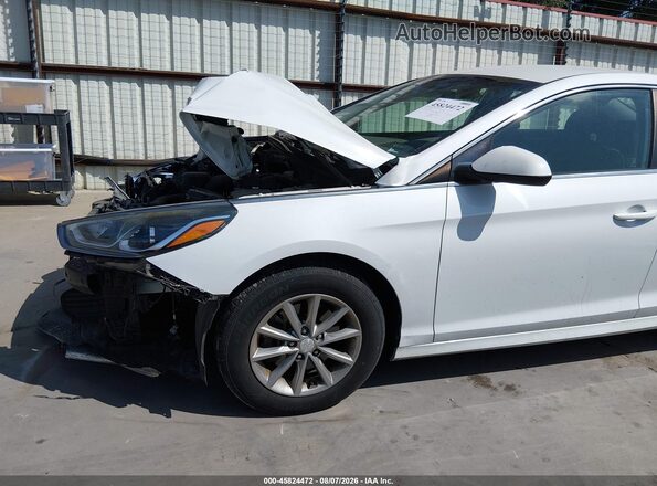 5NPE24AF9KH753381 2019 HYUNDAI SONATA White 