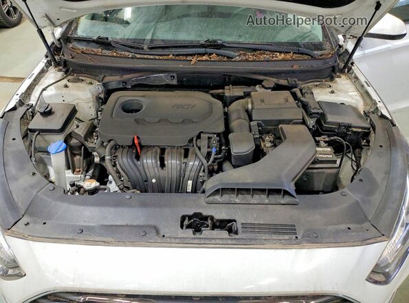 5NPE24AF9KH763358 2019 HYUNDAI SONATA White Vista de la etiqueta del VIN