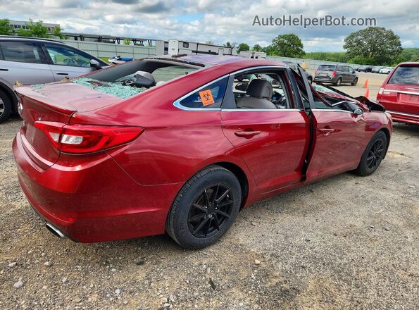 5NPE24AFXGH280792 2016 HYUNDAI SONATA Red Հետևի աջ