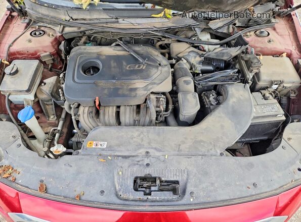 5NPE24AFXGH280792 2016 HYUNDAI SONATA Red Սալոնի հետևի տեսք