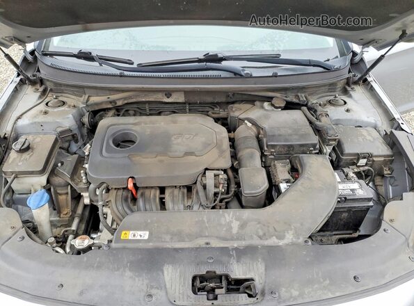 5NPE24AFXGH322474 2016 HYUNDAI SONATA Blue Widok wnętrza z tyłu