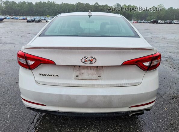 5NPE24AFXGH357600 2016 HYUNDAI SONATA White Rear view