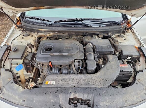 5NPE24AFXGH357600 2016 HYUNDAI SONATA White Rear interior view
