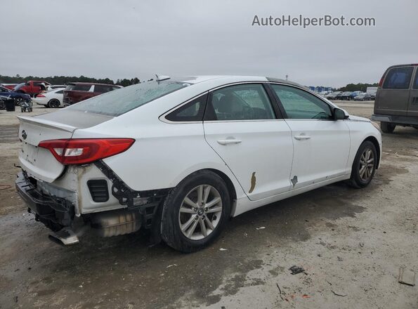 5NPE24AFXGH402440 2016 HYUNDAI SONATA White Հետևի աջ