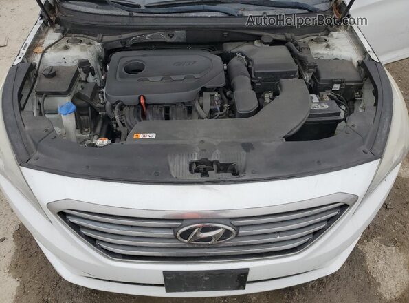 5NPE24AFXGH402440 2016 HYUNDAI SONATA White Սալոնի հետևի տեսք