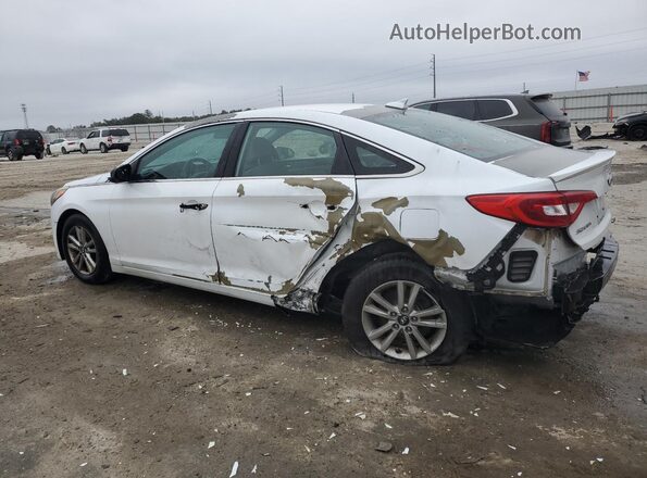 5NPE24AFXGH402440 2016 HYUNDAI SONATA White Հետևի ձախ