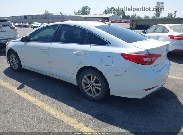 5NPE24AFXHH556132 2017 HYUNDAI SONATA White Հետևի ձախ
