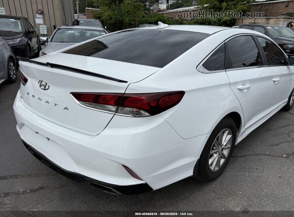 5NPE24AFXKH734029 2019 HYUNDAI SONATA Белый Задняя правая четверть
