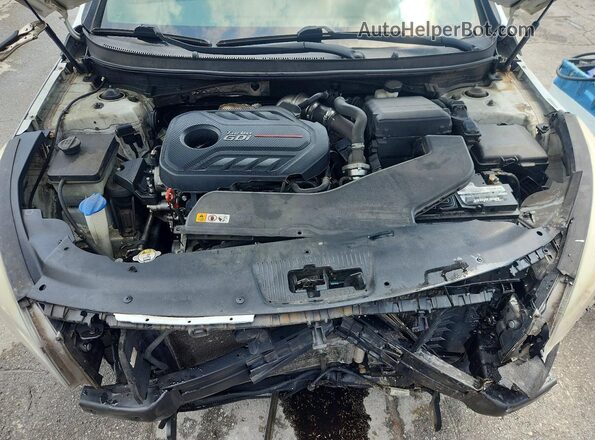 5NPE34AB8HH459571 2017 HYUNDAI SONATA White Սալոնի հետևի տեսք