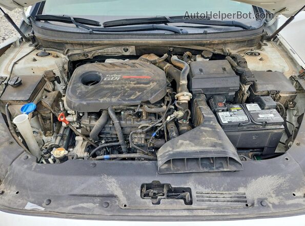 5NPE34AB8JH658142 2018 HYUNDAI SONATA White Widok wnętrza z tyłu