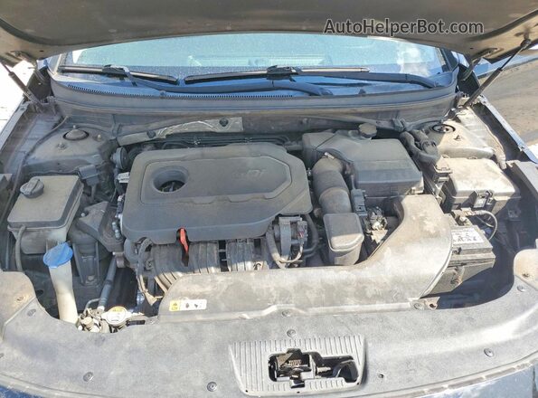 5NPE34AF0GH273119 2016 HYUNDAI SONATA Black Rear interior view