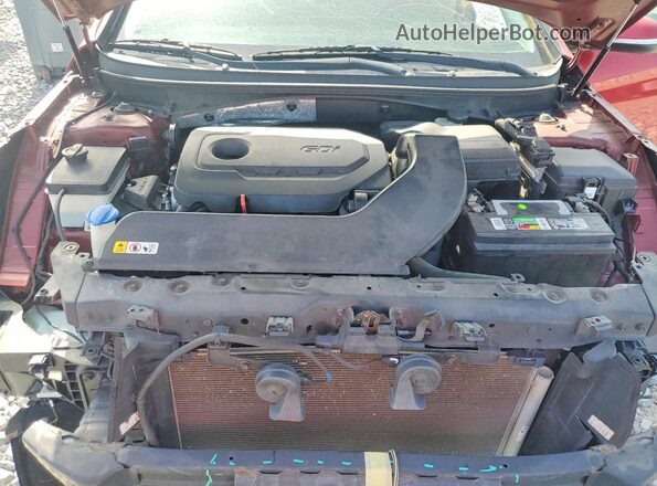 5NPE34AF0GH348482 2016 HYUNDAI SONATA Burgundy Вид задньої частини салону