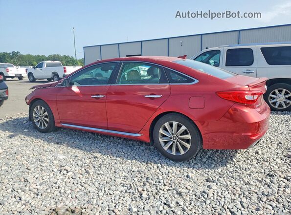 5NPE34AF0GH348482 2016 HYUNDAI SONATA Burgundy Задня ліва чверть