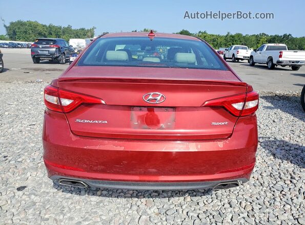 5NPE34AF0GH348482 2016 HYUNDAI SONATA Burgundy Вид ззаду